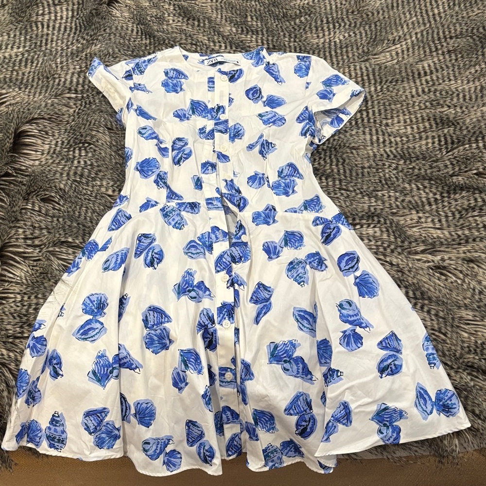 Blue and White Dress Zara